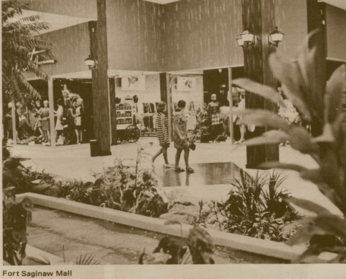 Fort Saginaw Mall - From Bob P
